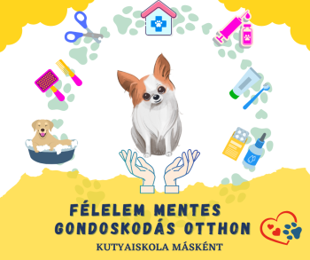 félelemmentes kooperatív kutya ápolás, gondozás
