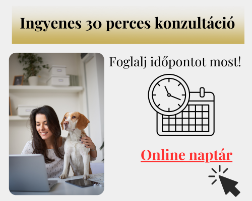 ingyenes konzultáció